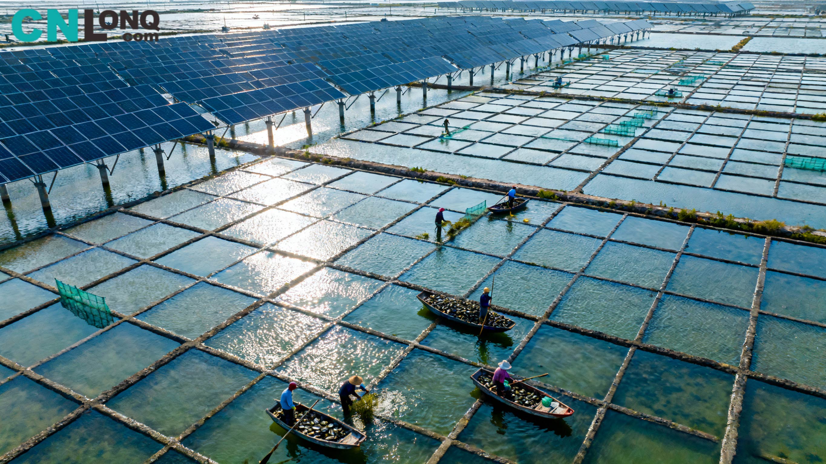 RMB 1.2 milyardın ümumi sərmayəsi! XINDAO QINGKOU SALT SITED 250 MMW 